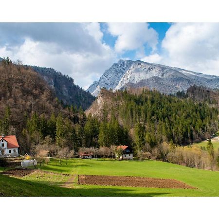 Villa Turisticna Kmetija Stoglej Luče Exterior foto