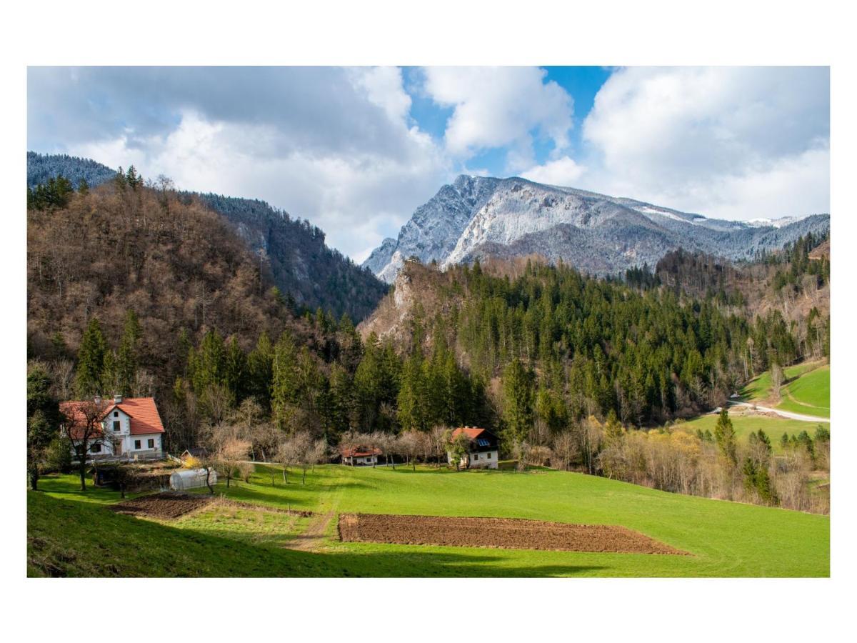 Villa Turisticna Kmetija Stoglej Luče Exterior foto