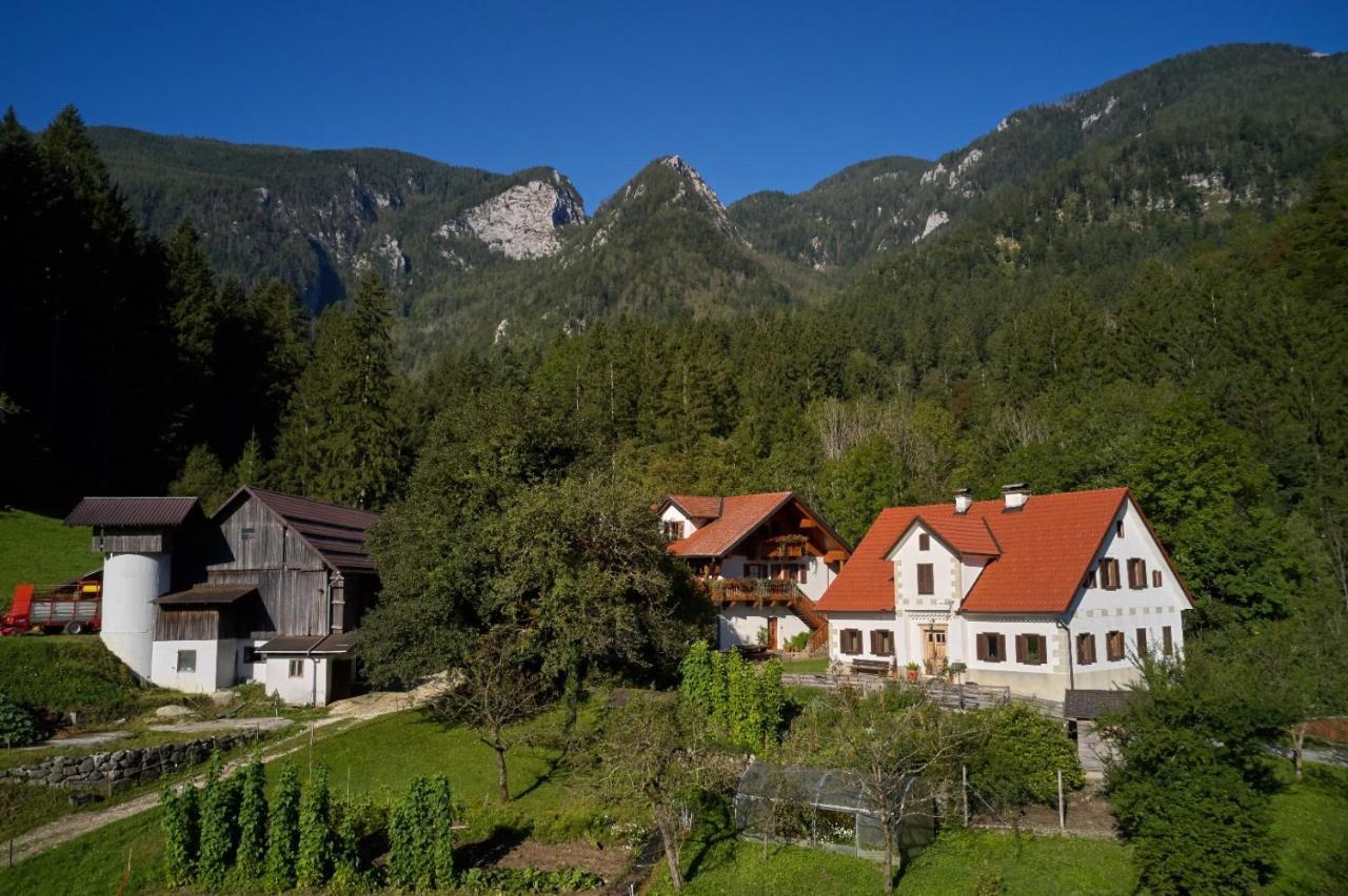 Villa Turisticna Kmetija Stoglej Luče Exterior foto