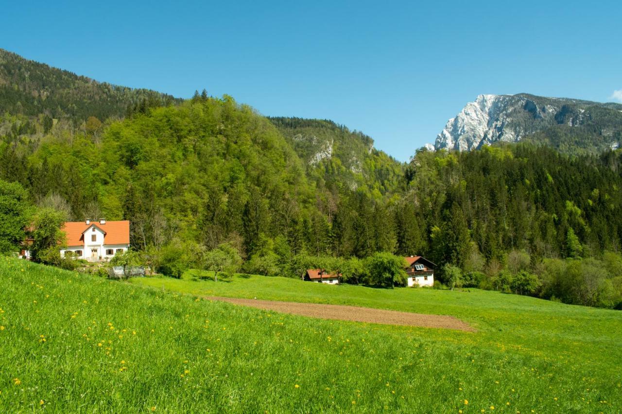 Villa Turisticna Kmetija Stoglej Luče Exterior foto